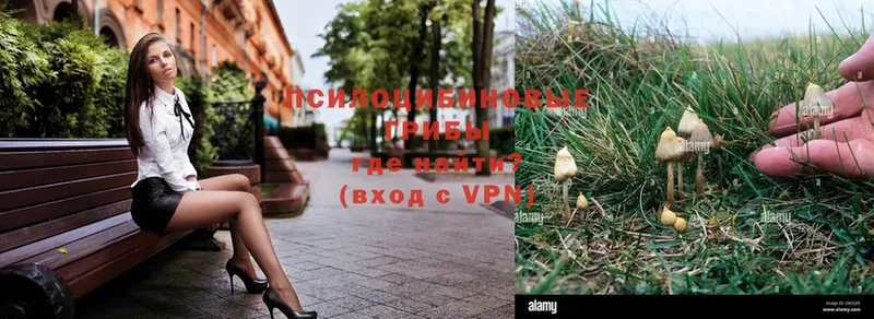 Галлюциногенные грибы MAGIC MUSHROOMS  Углегорск 