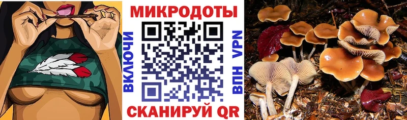 Псилоцибиновые грибы Psilocybe  где продают наркотики  Углегорск 