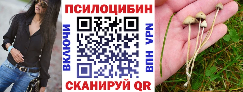 Галлюциногенные грибы прущие грибы Углегорск